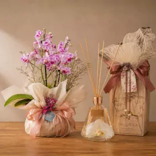 presente elegante com orquídea phalaenopsis e aromatizador floral