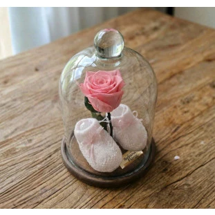 Rosa eterna rosa com sapatinhos de bebê rosa dentro de cúpula de vidro sobre base de madeira