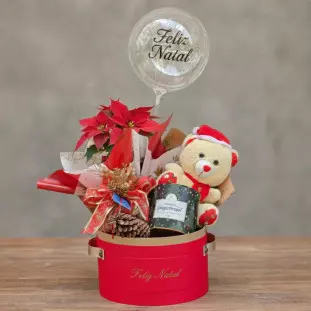 Cesta Natal Encantada + Biscoito + Pelúcia Noel