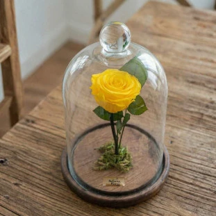 rosa preservada na cúpula de vidro em base de madeira em cima de mesa de madeira