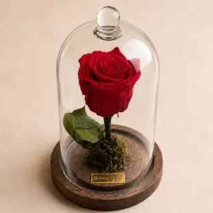 Rosa eterna vermelha natural preservada dentro de cúpula de vidro sobre base de madeira com placa dourada da Ikebana Flores.