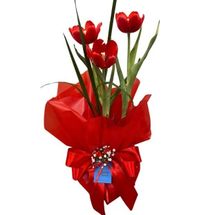 Vaso de Tulipa