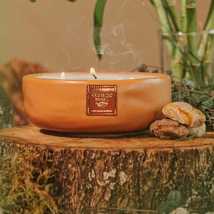 Vela Raízes do Brasil - Dani Fernandes