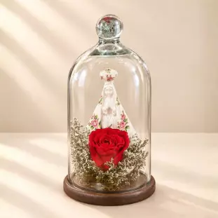 Rosa Eterna com Nossa Senhora