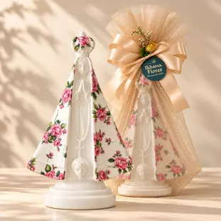 Nossa Sra. Aparecida - Rosa - Complementos