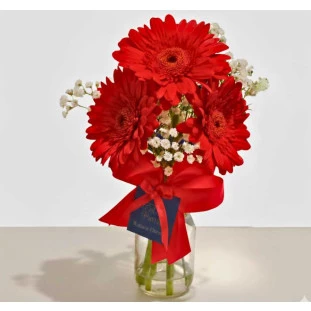 Arranjo de gérberas vermelhas com gipsofila em vidro decorado com laço vermelho, ideal para presentear, entrega rápida em Belo Horizonte.