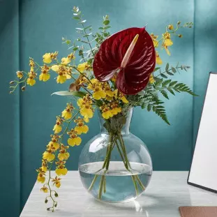 Arranjo tropical luxo em vaso de vidro com orquídeas chuva de ouro amarelas, antúrio vermelho central e folhagens verdes - Ikebana Flores BH.