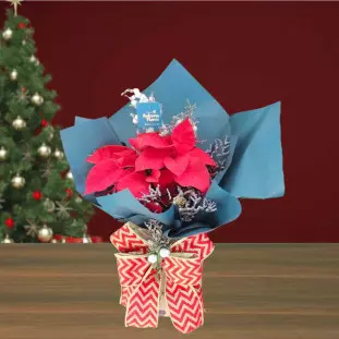 Arranjo de Natal com Bico-de-Papagaio vermelho, laço decorativo e papel azul