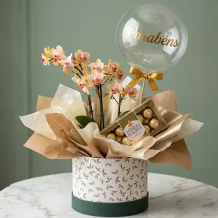 Flower box cilíndrica botânica com orquídea Phalaenopsis pêssego, caixa de bombons Ferrero Rocher e balão bubble transparente com inscrição Parabéns em dourado.