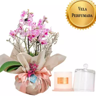 Kit presente com mini orquídea phalaenopsis rosa em embalagem de luxo e vela perfumada Dani Fernandes com redoma de vidro.