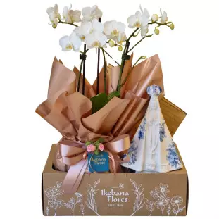 Kit de presente com mini orquídea phalaenopsis branca e imagem de Nossa Senhora em gesso azul e branco dentro de uma caixa kraft - Ikebana Flores.