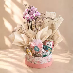 Cesta Elegance com mini orquídea, biscoitos, drip coffee, Ferrero Rocher e caneca em box floral