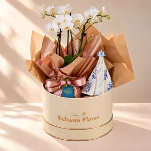 Kit Nossa Senhora Azul + Mini Orquídea Branca