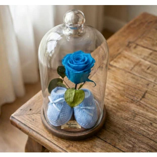 Rosa eterna azul com sapatinhos de bebê azuis em cúpula de vidro sobre base de madeira