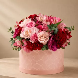 Box Rosado