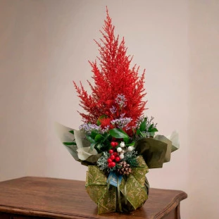 vaso de pinheiro vermelho decorado com laço natalino e folhagens