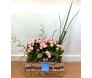 jardineira feita com kalandiva ou kalanchoe
