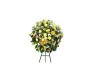 Coroa de Flores N2