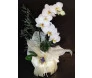 orquídea em BH