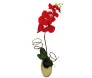 Orquídea Phalaenopsis  vermelha artificial