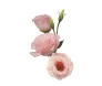 Maço de liziantus cor de rosa