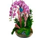Arranjo com três Orquídea plantado no vidro