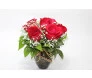 flores signo escorpião