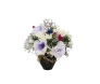 Flores signo Aquário