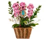 Arranjo de três hastes de orquídea rosa plantado no cachepot de madeira