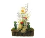 Arranjo com três Cactos Ikebana