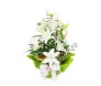 Arranjo Flor Lírio Branco