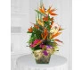 Ikebana Estrelitzia no vidro.