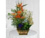 Arranjo Plantado com Orquídea