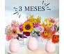 três vasos com flores distintas
