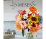 vaso de flores gigante com diversas flores