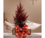 Bonsai de Tuia Vermelha em embalagem de presente com laço decorativo vermelho e dourado