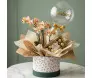 Flower box cilíndrica botânica com orquídea Phalaenopsis pêssego, caixa de bombons Ferrero Rocher e balão bubble transparente com inscrição Parabéns em dourado.
