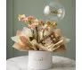 Flower box cilíndrica botânica com orquídea Phalaenopsis pêssego, caixa de bombons Ferrero Rocher e balão bubble transparente com inscrição Parabéns em dourado.