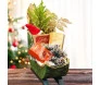 cesta natalina treno chocolates lindt com tuia decorada