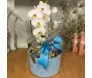 cesta de presentes na cor azul com orquídea branca 