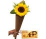 cone girassol + chocolate fererro rocher