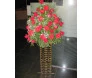 Coluna de Flores do Campo