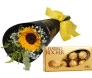 kit com girassol para BH