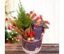 Caixa com flores e biscoitos natalinos