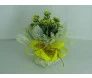 Como Embalar Vasos de Kalanchoe