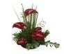 Ikebana de Antúrios.