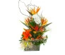 Ikebana Estrelitzia vidro especial