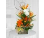 Ikebana Estrelitzia