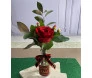 Rosa vermelha em arranjo natalino