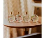 kit de aromatizadores dani fernandes